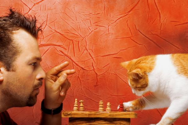 Choices image via Shutterstock