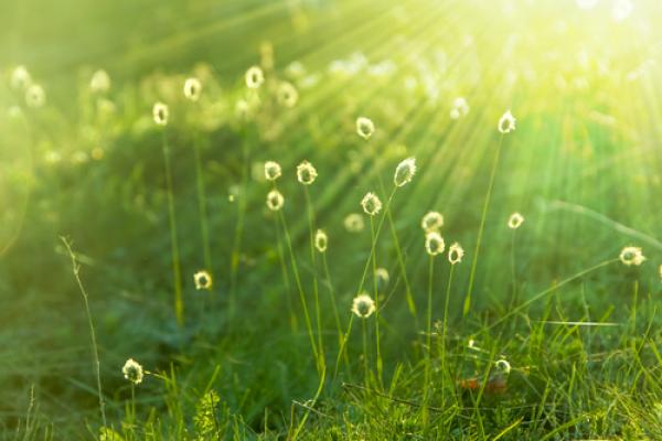 Photo via Anton Watman / Shutterstock / RNS