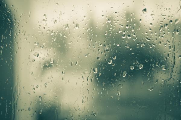 ANURAK PONGPATIMET / Shutterstock.com