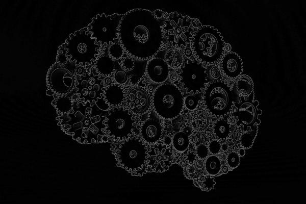 Brain Illustration