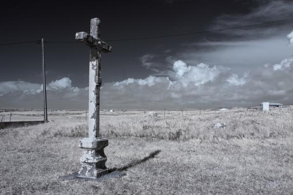 Zacarias Pereira da Mata / Shutterstock.com