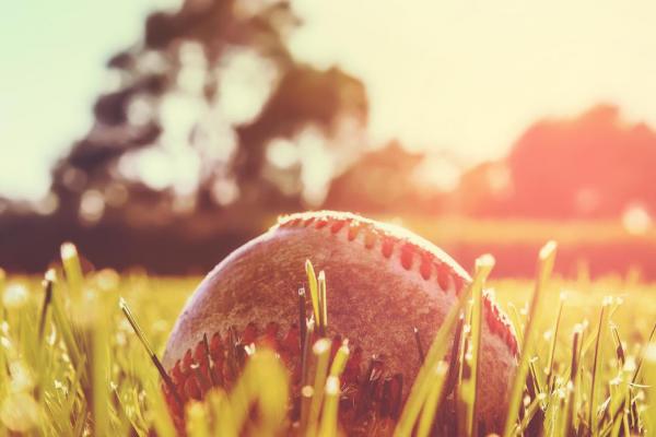 baseball park