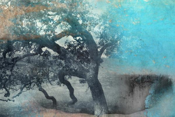 Photo illustration, © Elena Ray / Shutterstock.com