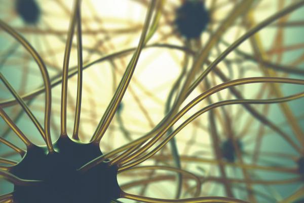 interconnectedness