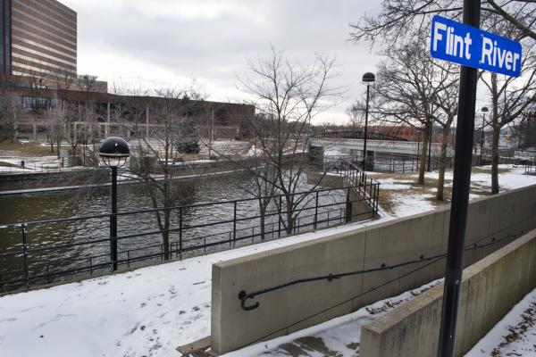 Flint river
