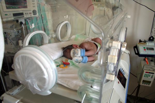 Premature baby in incubator, Ioannis Ioannou / Shutterstock.com