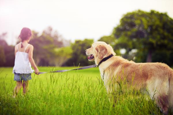 Girl with Golden Retriever photo, Martin Valigursky, Shutterstock.com