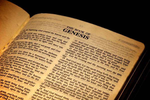 Bible open to the Book of Genesis, Sara Calado / Shutterstock.com
