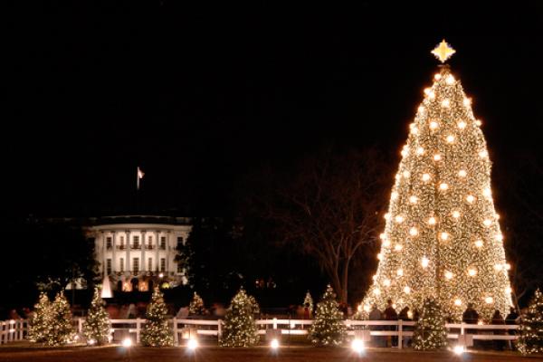 Photo: National Christmas Tree, © Robert Crow / Shutterstock.com