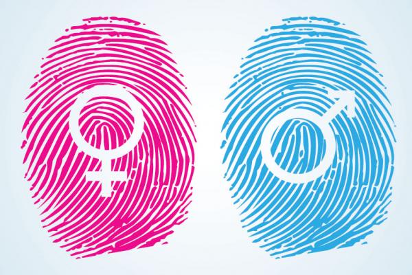 Gender symbols, SoulCurry / Shutterstock.com