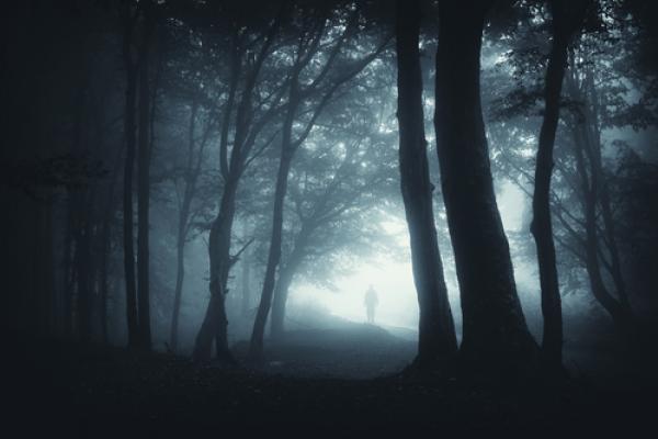Dark forest path, andreiuc88 / Shutterstock.com