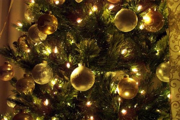 Photo: Christmas tree, © Jennifer Nickert / Shutterstock.com