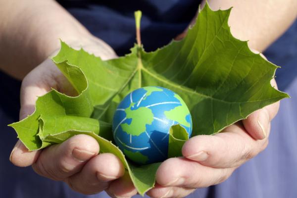 Earth Day illustration, kabby/Shutterstock.com