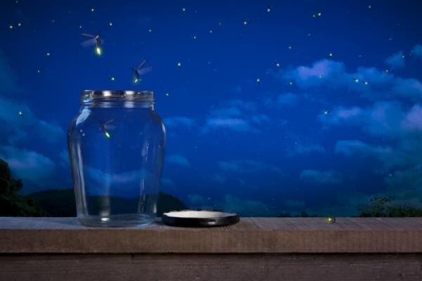 Fireflies in the night. Image courtesy Fer Gregory/shutterstock.com.