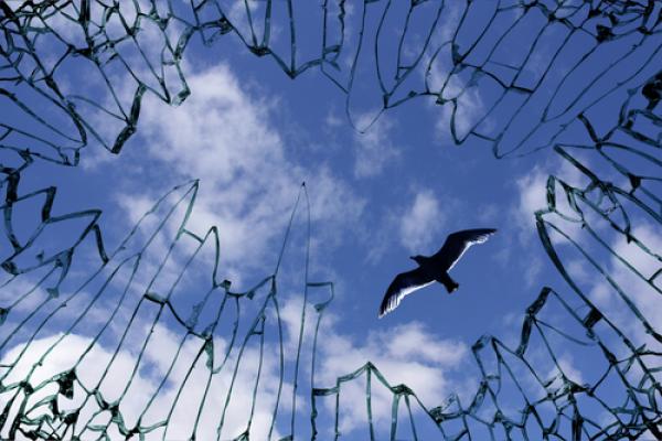 A dove flies above a cage of glass. Image courtesy Yu Lan/shutterstock.com.