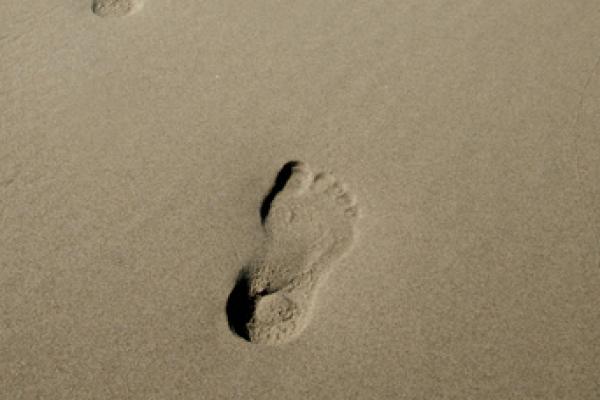 Footsteps in the sand, hpbdesign / Shutterstock.com