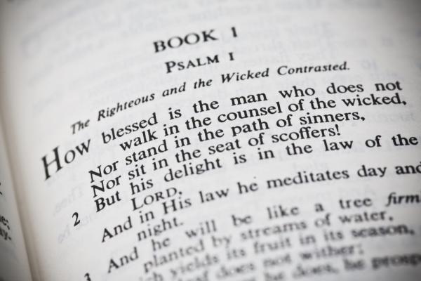 Psalms, Vibe Images, Shutterstock.com
