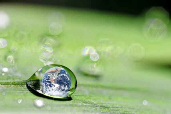 Sustainability image, danymages / Shutterstock.com