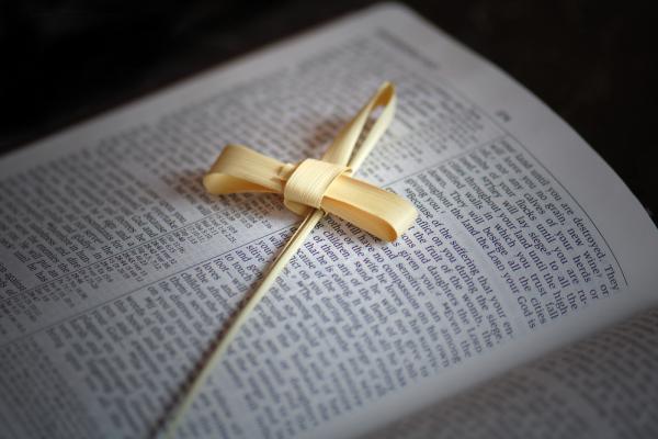 Palm Cross on Bible, Cheryl Casey/Shutterstock.com