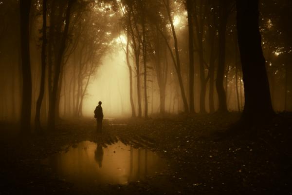 andreiuc88 / Shutterstock.com 
