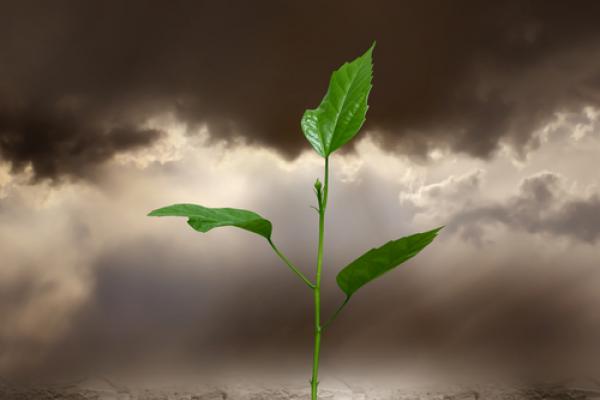 Creation care image, LilKar / Shutterstock.com