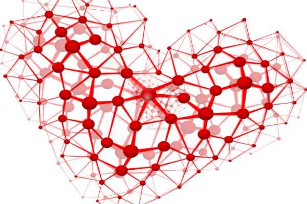 Interconnected heart, _Lonely_  / Shutterstock.com