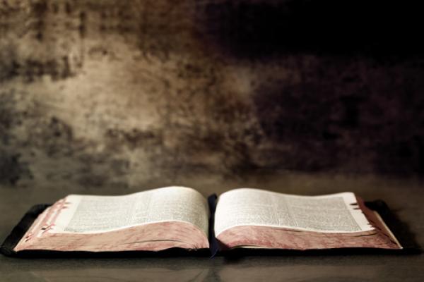 Open Bible,  Robyn Mackenzie / Shutterstock.com