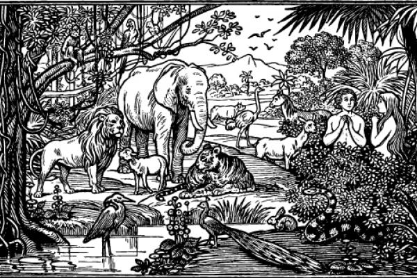 Garden of Eden, lynea / Shutterstock.com