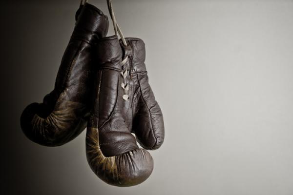 Brown boxing gloves, Csehak Szabolcs / Shutterstock.com