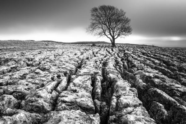Desolate landscape, Phil MacD Photography / Shutterstock.com
