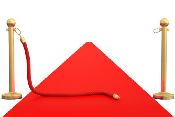 Red carpet image, disfera/ Shutterstock.com