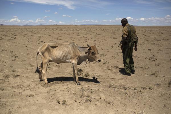 Photo via REUTERS / Siegfried Modola / RNS
