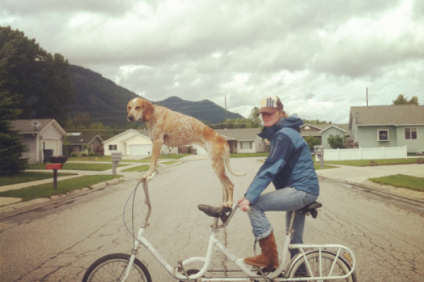 Maddie the Coonhound is featured in out "Best of Links"