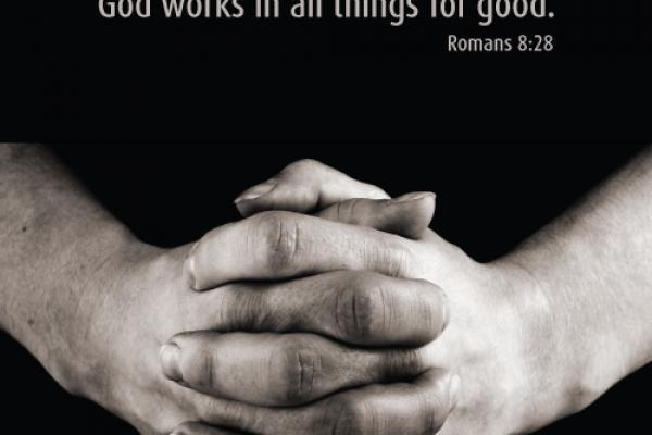 Hands photo, Andreas Gradin / Shutterstock.com
