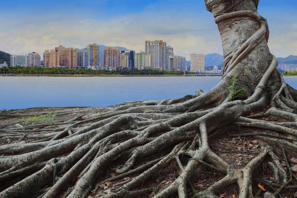 stockphoto mania / Shutterstock