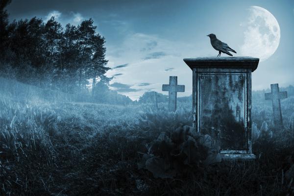 Jaroslaw Grudzinski / Shutterstock
