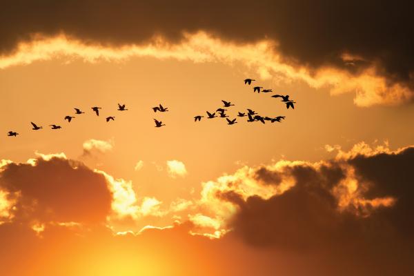 Delmas Lehman / Shutterstock