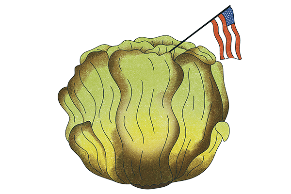 lettuce head with American flag planted on top