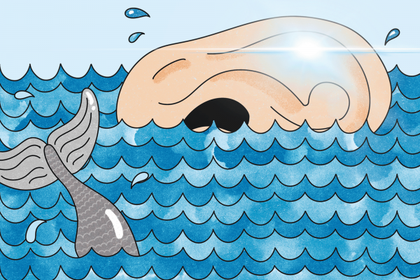 The illustration shows a whale tale sticking out of the ocean, and an ear, swimming as if it were a whale