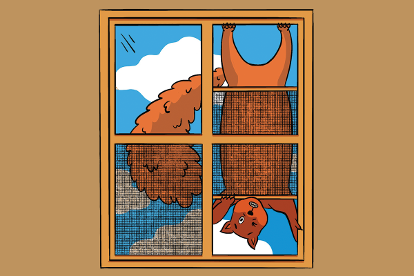 An illustration of a squirrel hanging upside-down outside a window, looking in and winking at the viewer. A white cloud, blue sky, and river are visible behind the squirrel