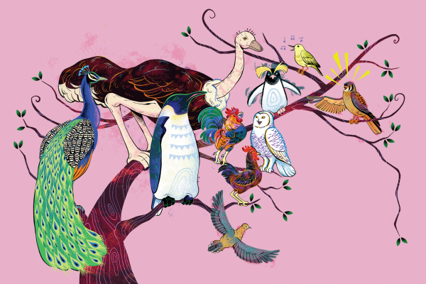 The illustration is of a variety of birds on a branch. There is a peacock, a penguin, an emu, a chicken and rooster, an owl, a hawk, a sparrow, and one of those penguins with fluffy yellow hair