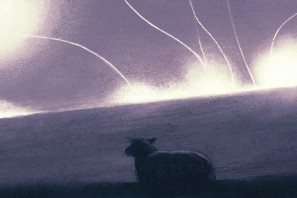 The illustration shows a sheep looking out at a hill that is lit up with bombs. 