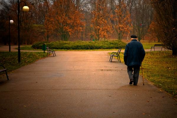 PHOTOCREO Michal Bednarek / Shutterstock