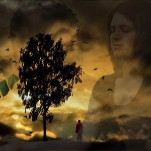 "Tree of Prayer" image via Wylio http://www.wylio.com/credits/Flickr/4404284129 "Tree of Prayer" image via Wylio http://www.wylio.com/credits/Flickr/4404284129
