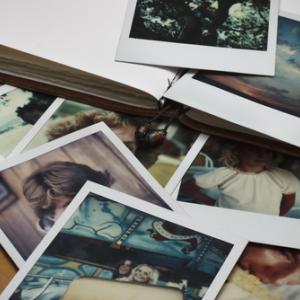 Photos in a journal: KC Slagle / Shutterstock.com