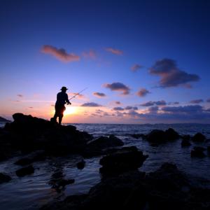 Fishing, isarescheewin / Shutterstock.com