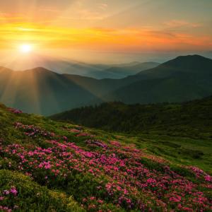 Photo: 2013 image, © Vladyslav Starozhylov/ Shutterstock.com