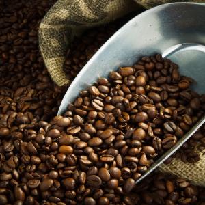 Coffee grounds. Image courtesy O.Bellini/shutterstock.com