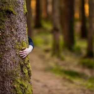 Tree hugger, Andrei S / Shutterstock.com