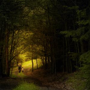 Rudolf Vlcek/Shutterstock
